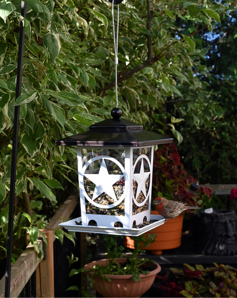 Star Bin Bird Feeder
