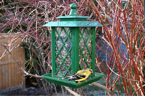 Lantern Style Bin Bird Feeder - Green