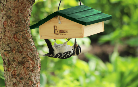 Upside Down Suet Cake Feeder