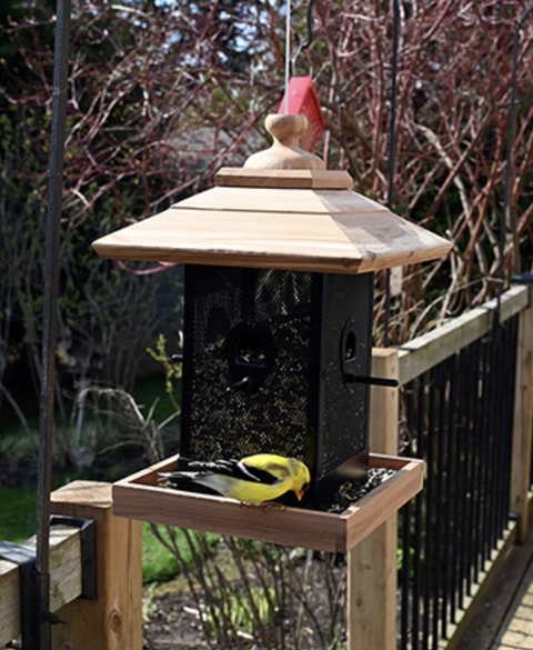 Backyard - Cedar Wood - Bin Bird Feeder