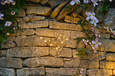 Robin Hanging LED Bird Light