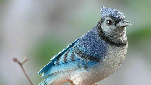 Blue Jay on a tree branch - Bird Statue