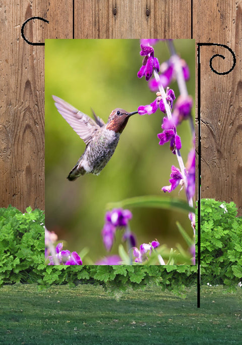 Hummingbird Purple Flowers Garden Flag