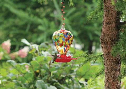 Art Glass Hummingbird Feeder - Colour Balloon Design