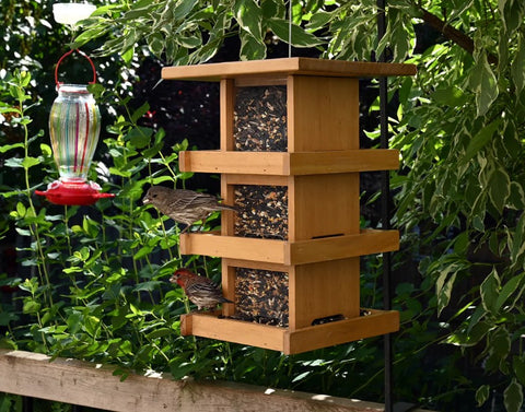 Condo Style Bird Feeder