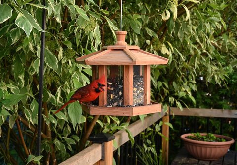 Mangeoire à oiseaux de style gazebo