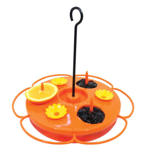 Oriole Tray Bird Feeder