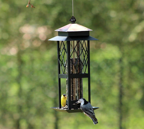 Regal Style Trellis Tube Bird Feeder