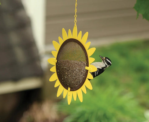 Shelled Sunflower Bird Feeder