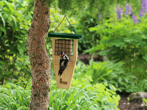 Tail Prop Suet Cake Bird Feeder