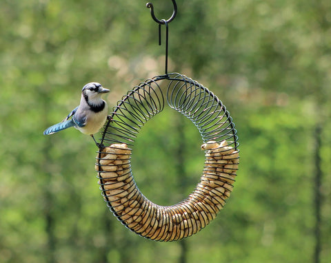 Wreath Peanut Ring Bird Feeder - Black