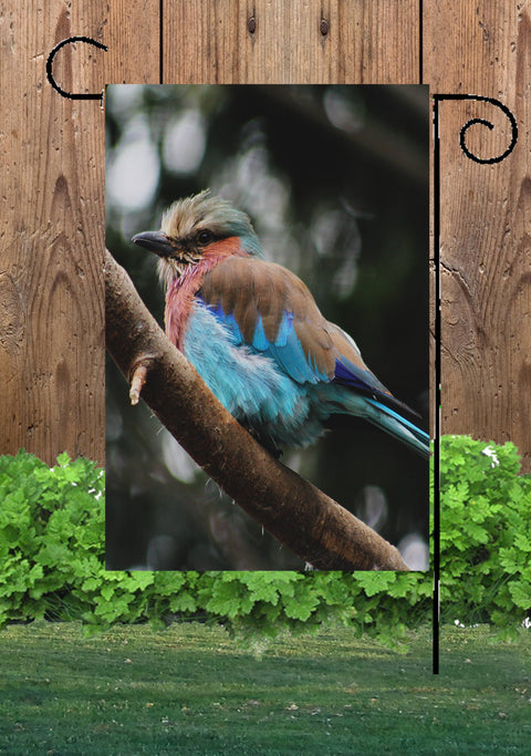 Drapeau de jardin d'oiseau à rouleau à poitrine lilas