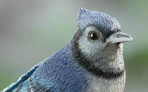 Bird Statues