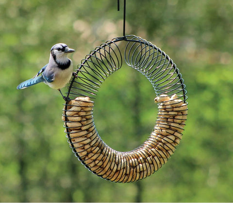 Peanut Rings