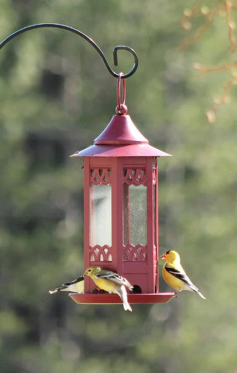 NEW -  Decorative Gazebo Bird Feeder