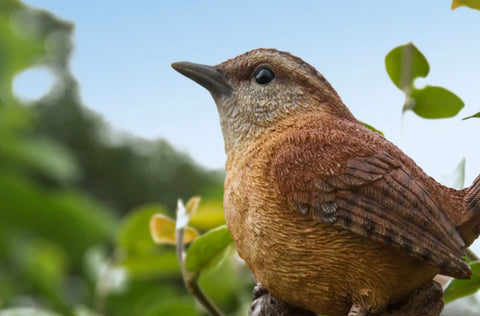 Carolina Wren on a tree stump - Bird Statue