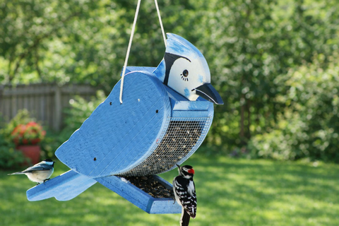Blue Jay & Cardinal Feeders