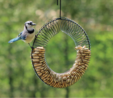 Mangeoire à oiseaux avec anneau d'arachide