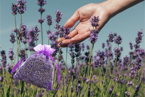 Cavan Creek Market – Organic Lavender Sachets