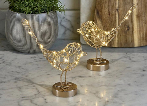 LED Bird Lights