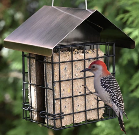 Winter Suet Feeder Sale