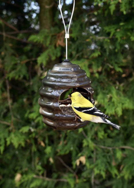 NEW - Verdant Hive Bird Feeder