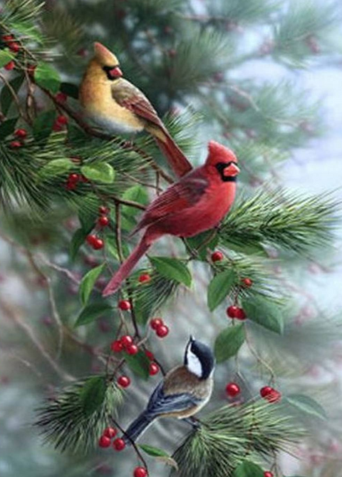 Oiseaux sur une branche de baies - Drapeau du jardin d'hiver
