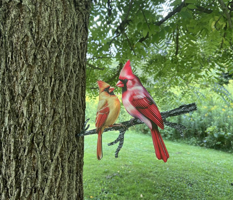 The Woodland Creatures Collection