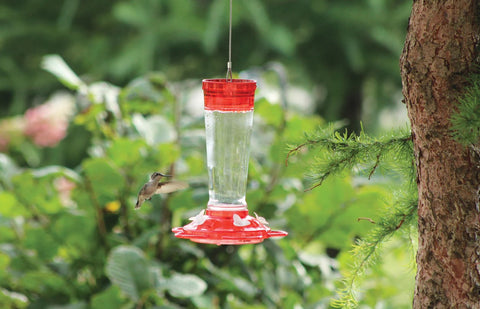 Glass Hummingbird Feeder 10 oz