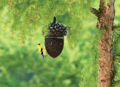 Acorn Shape Black Oil Sunflower Bird Feeder