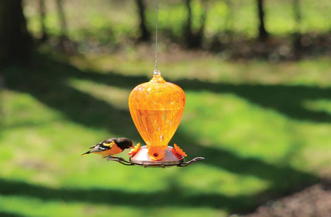 Art Glass Oriole Bird Feeder - Orange Balloon Design