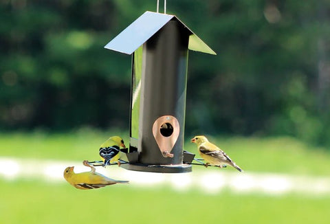Regal Style Oval Seed Feeder