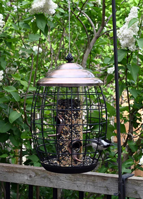 Mangeoire à graines en cage résistante aux écureuils de style Regal