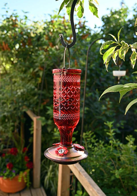 Vintage Bottle Style Glass Hummingbird Feeder