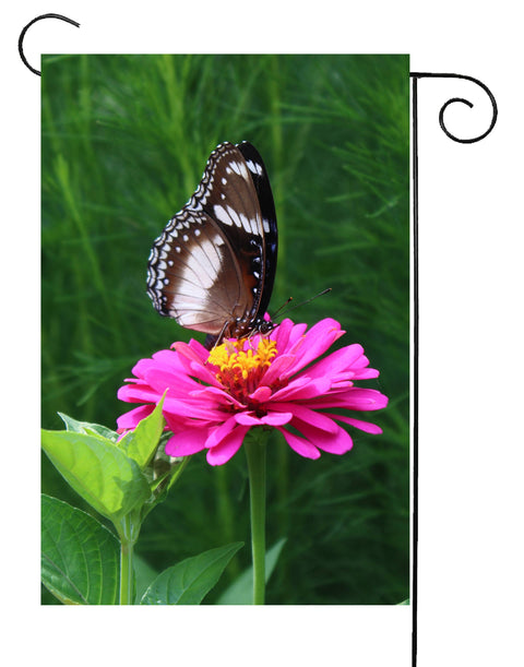 Drapeau de jardin papillon sur fleur